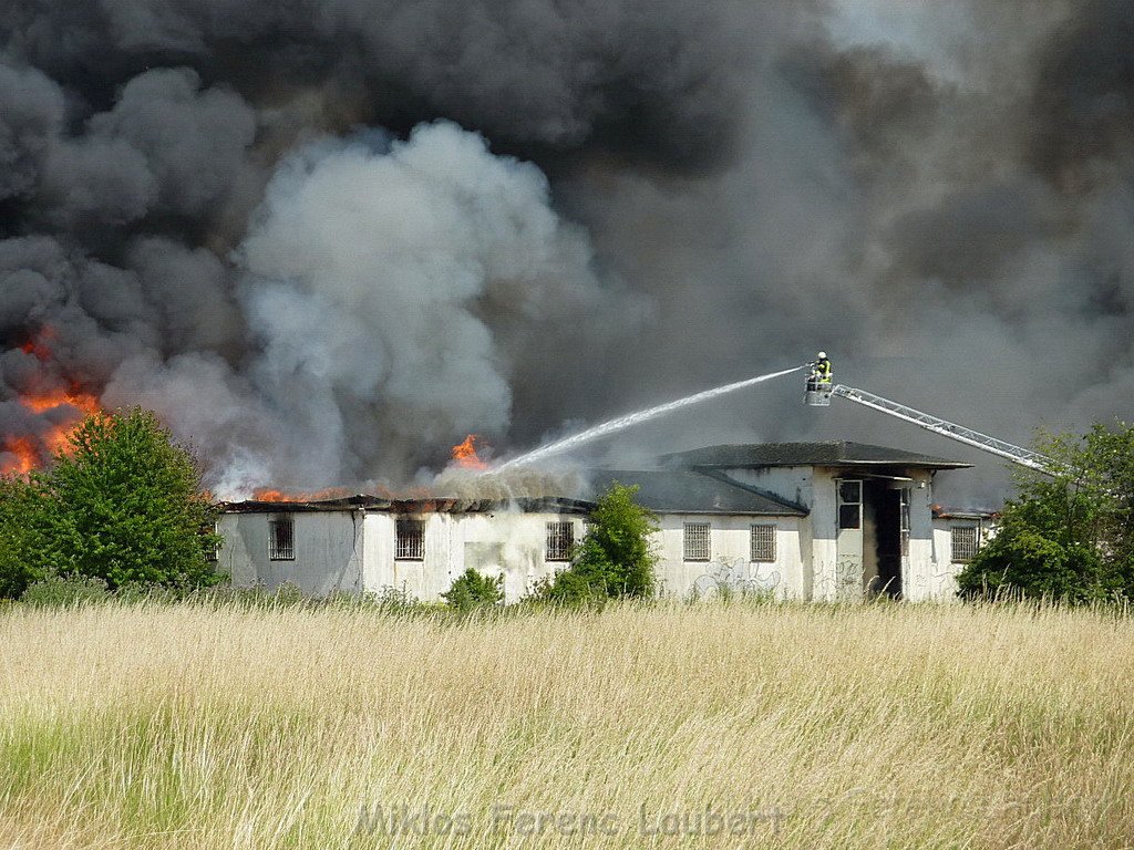 Feuer Koeln Ossendorf Butzweiler Hof neben IKEA P035.jpg